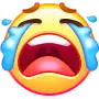 [大哭]